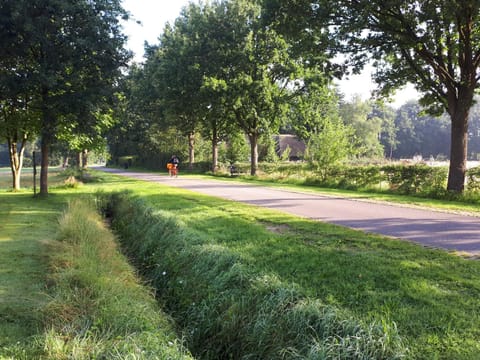 Neighbourhood, Natural landscape, Family