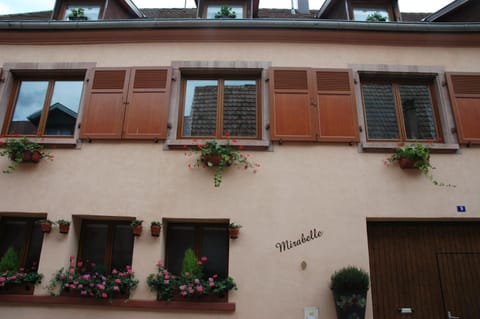 Appartement Mirabelle avec Jardin - Centre Ribeauvillé Eigentumswohnung in Ribeauvillé