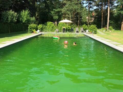 Garden, Garden view, Pool view, Swimming pool, Family