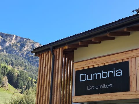 Chalet Dumbria Dolomites Apartment in Sëlva