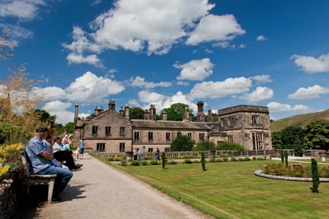 Property building, Day, Garden