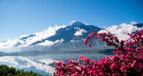 Day, Natural landscape, Lake view, Mountain view