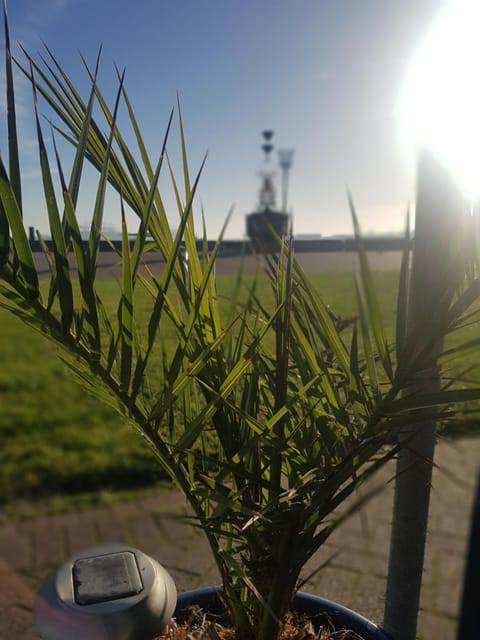 The Shipwreck Loft Bed and Breakfast in Tendring District