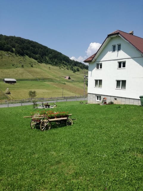 Casa Alba House in Brașov County