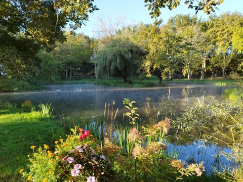 Natural landscape, Garden