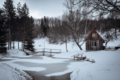 Winter, Sauna