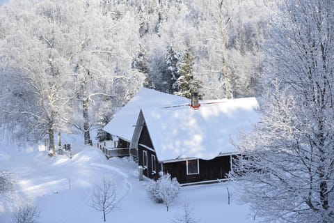 Property building, Winter