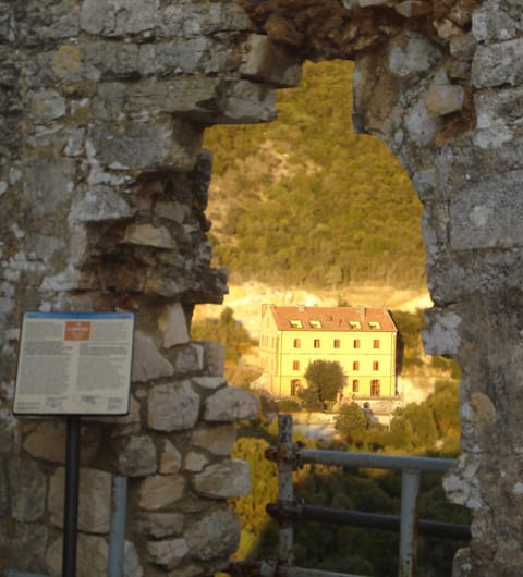 View (from property/room)