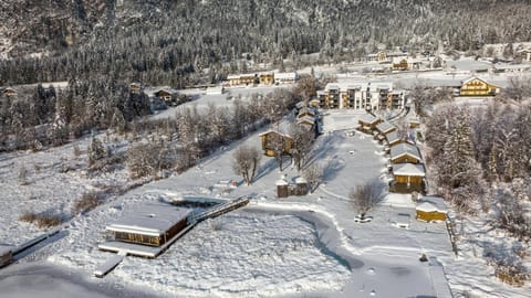 Bird's eye view, Winter