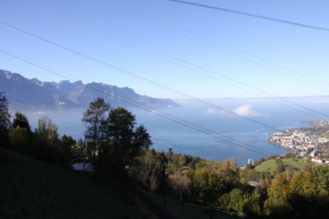 Gais Alpins Haus in Montreux