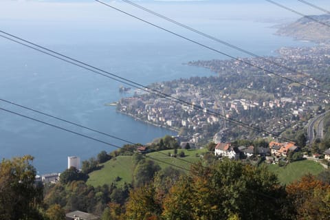 Gais Alpins Haus in Montreux