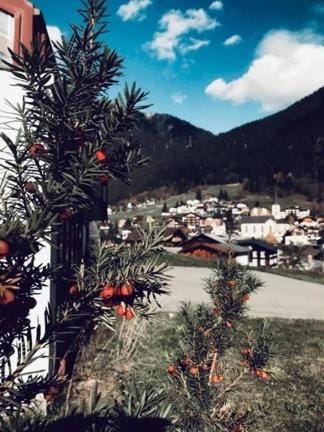 Hotel Daneu Gaschurn Hotel in Vorarlberg, Austria