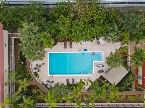 Pool view, Swimming pool