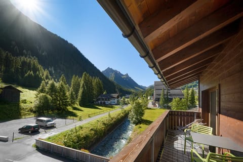 Mountain view, River view