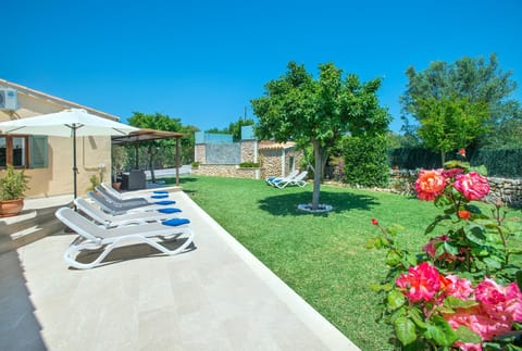 Summer, Balcony/Terrace