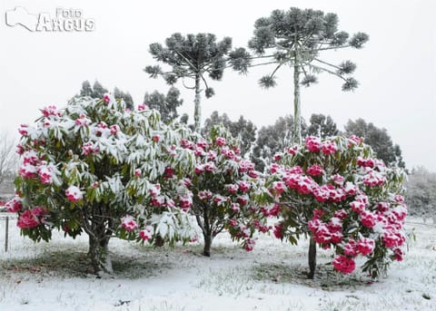 Natural landscape, Winter