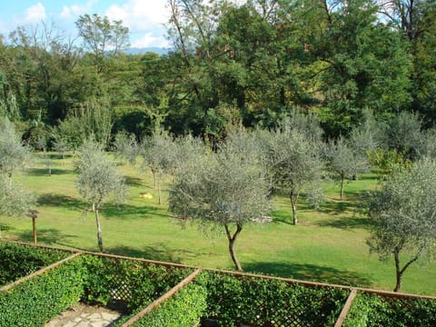 Day, Natural landscape, Garden, Garden view