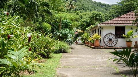 Martinique Treehouse Lodge nature in Martinique