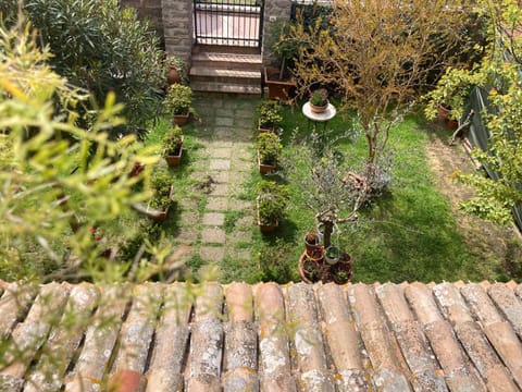 Spring, Garden, Garden view