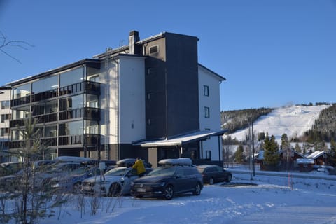 Property building, Winter