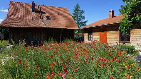 Property building, Spring, Garden view