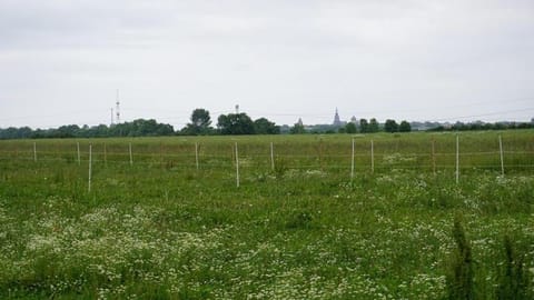 Spring, Natural landscape