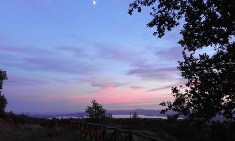 Garden, Lake view, Sunset