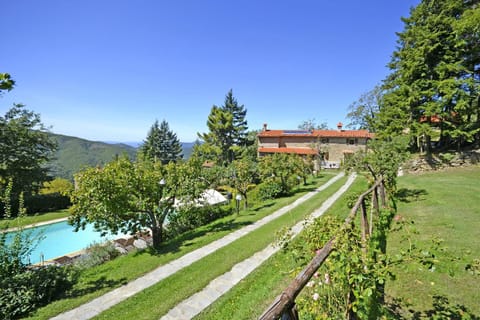 Garden, On site, Swimming pool