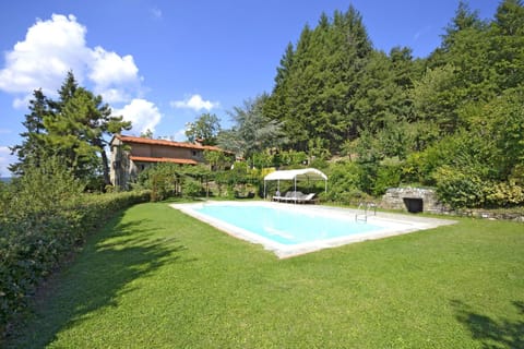 Garden, Swimming pool