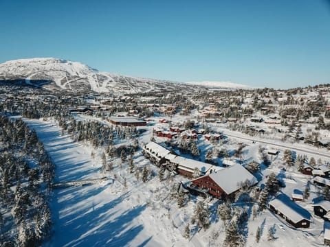 Property building, Natural landscape, Winter