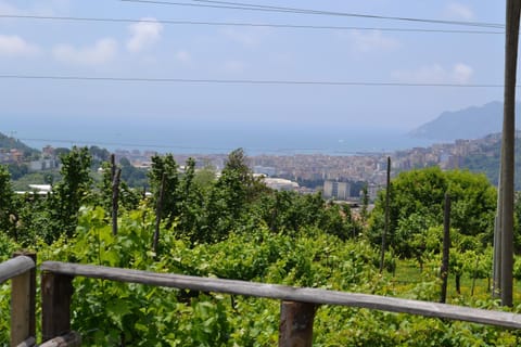 b&b Green Valley Bed and Breakfast in Salerno