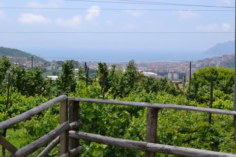 b&b Green Valley Bed and Breakfast in Salerno