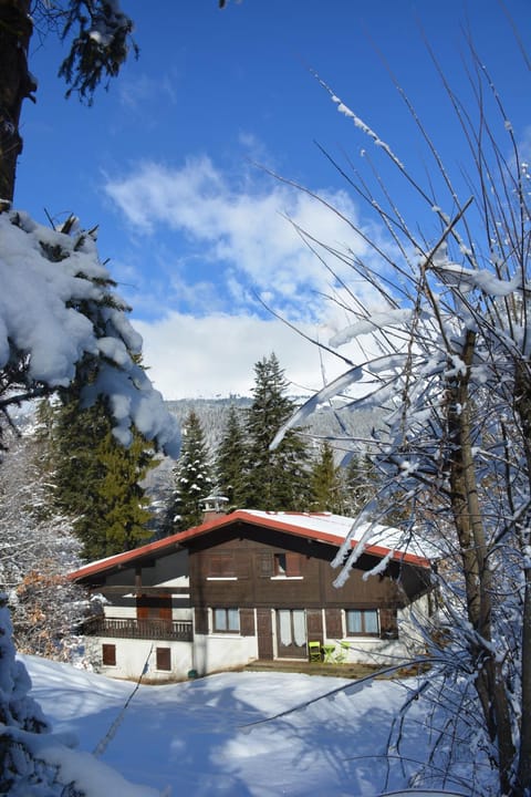 Property building, Natural landscape, Winter