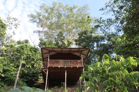 La Musa Verde Natur-Lodge in Tarapoto