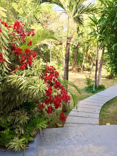 Garden, Garden view