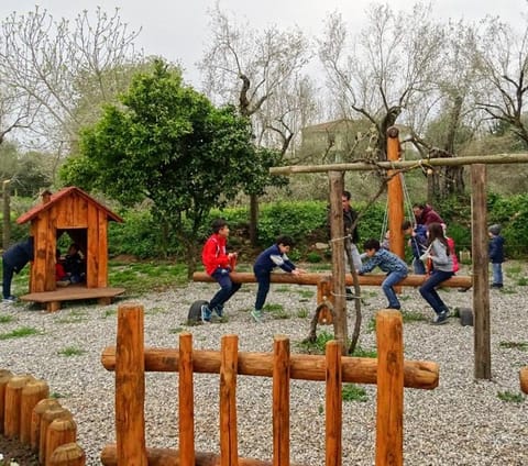 Children play ground, older children, group of guests