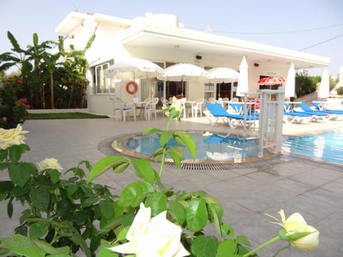 Garden, Lounge or bar, Swimming pool, Swimming pool