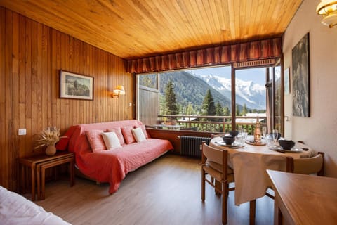 Résidence Grands Montets 502 ski in-ski out - Happy Rentals Condo in Chamonix