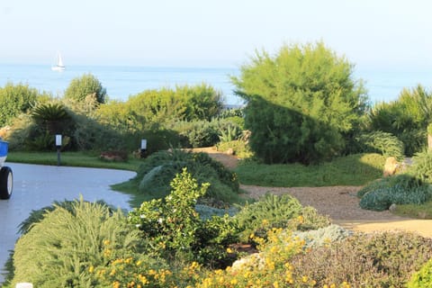 Garden view, Sunrise