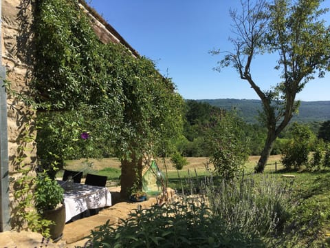 Summer, Garden, Balcony/Terrace