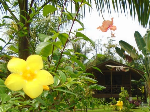 J and H Garden Cabinas Vacation rental in Bocas del Toro Province