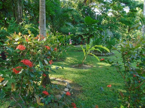 J and H Garden Cabinas Urlaubsunterkunft in Bocas del Toro Province