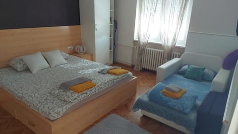 Central apartment with garage Apartment in Novi Sad