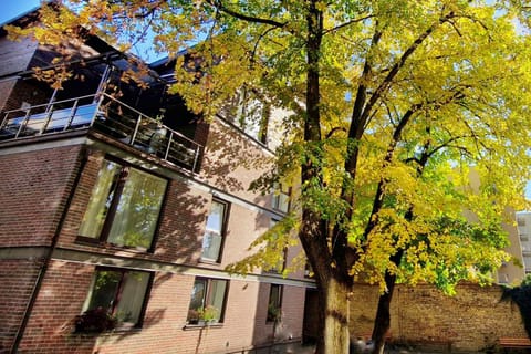 Property building, Spring, Autumn, Street view, Location