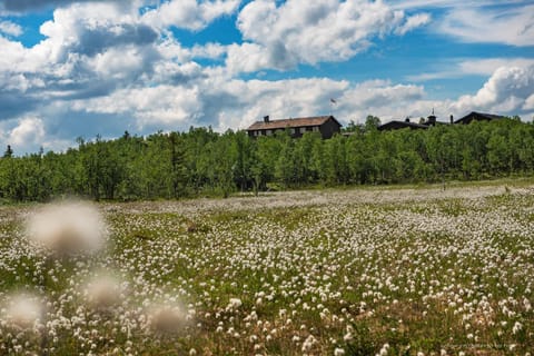 Property building, Nearby landmark, Natural landscape, Landmark view