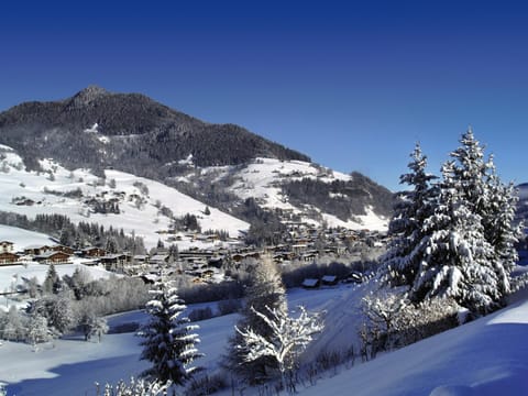 Natural landscape, Winter, Mountain view