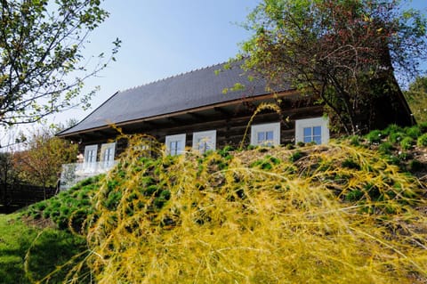 Kacza Chata - willa z jacuzzi Villa in Gmina Liszki