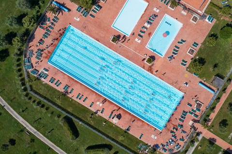 Bird's eye view, Swimming pool, group of guests, sunbed