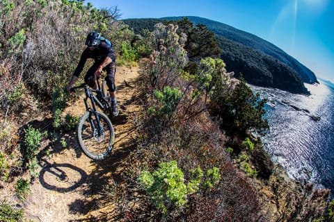 Cycling, Sea view, Sports