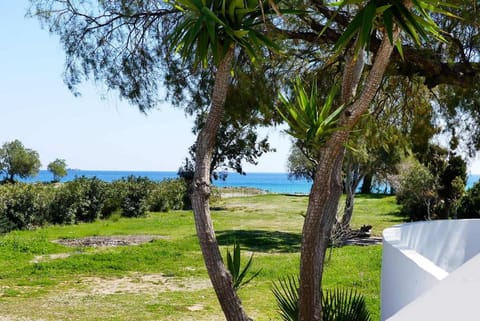 Natural landscape, Garden, Sea view